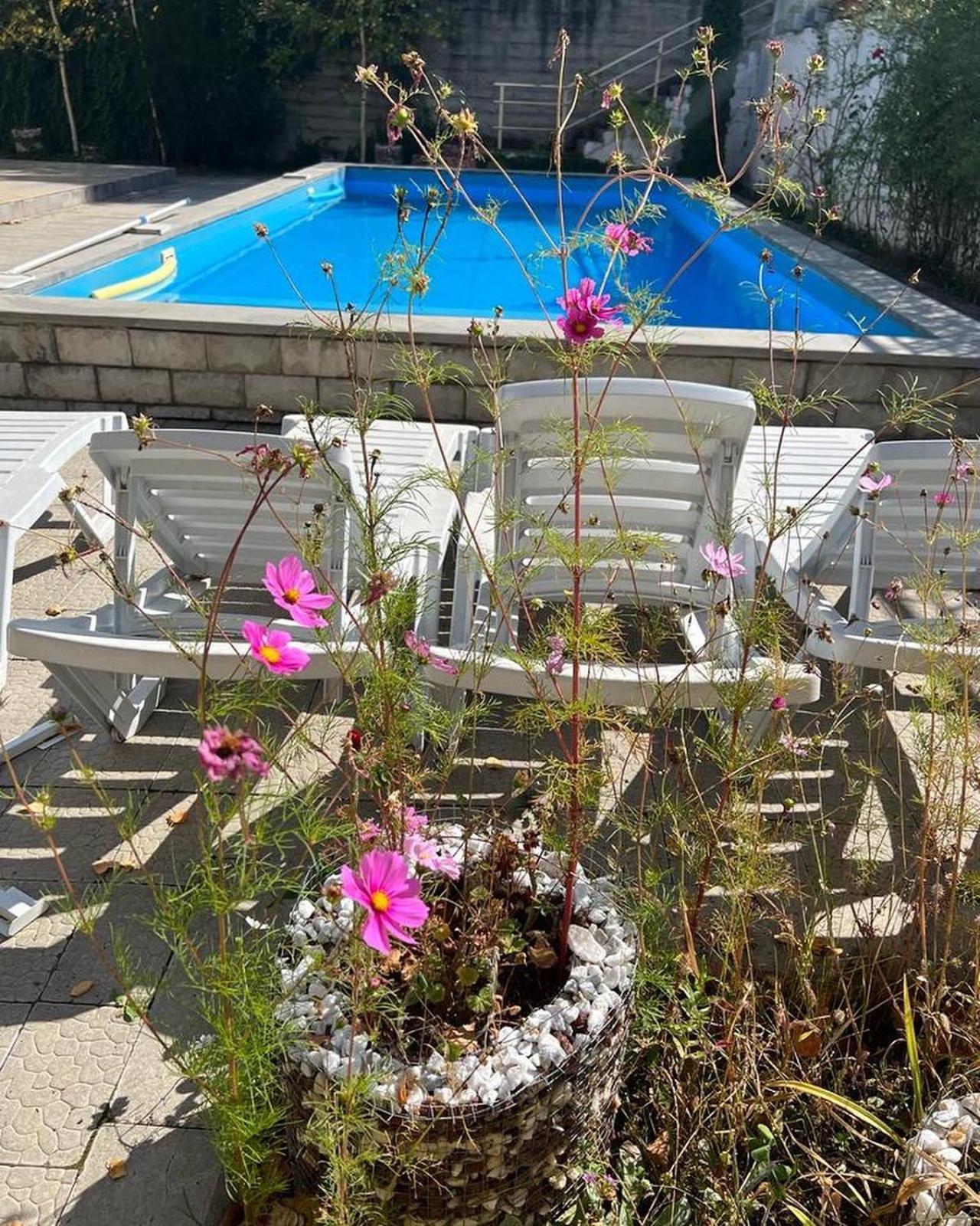Dilijan Duplex Villa Eksteriør bilde