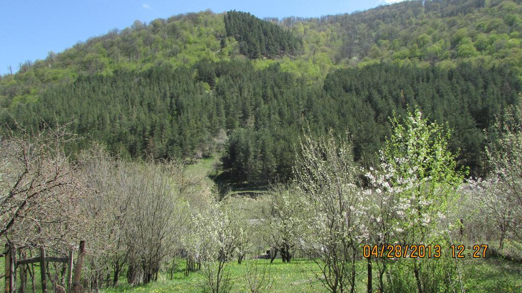 Dilijan Duplex Villa Eksteriør bilde