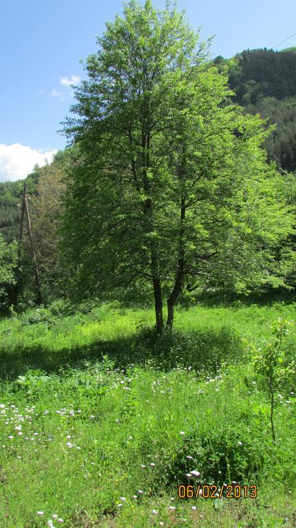 Dilijan Duplex Villa Eksteriør bilde